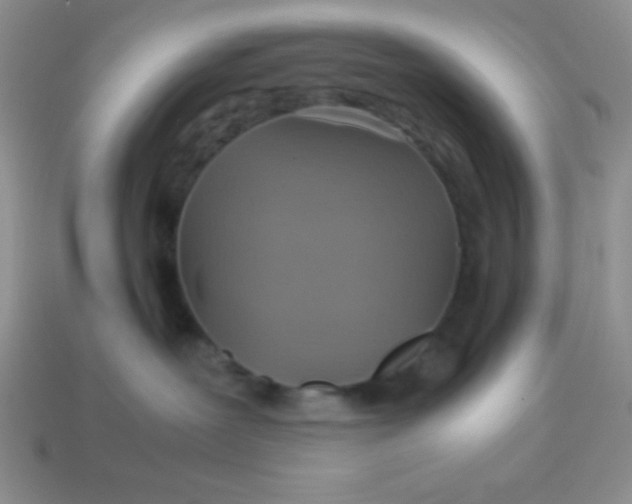 X0000113590239200910091506