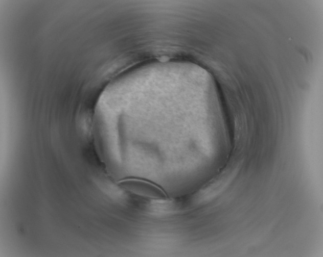 X0000113590240200910091506