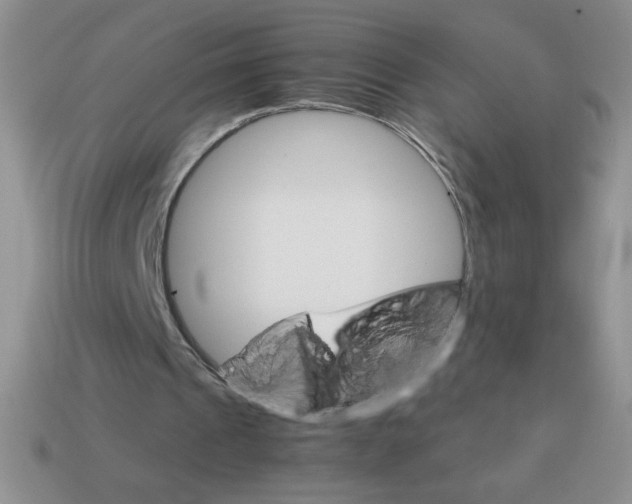 X0000113590241200910091505