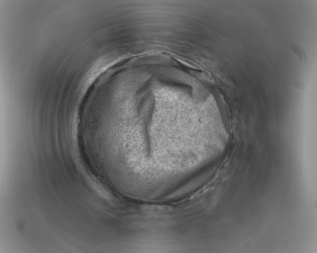 X0000113590242200910091505