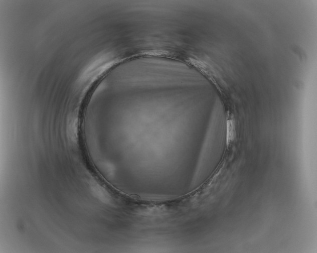 X0000113590243200910091505