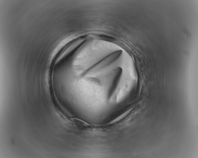 X0000113590244200910091505