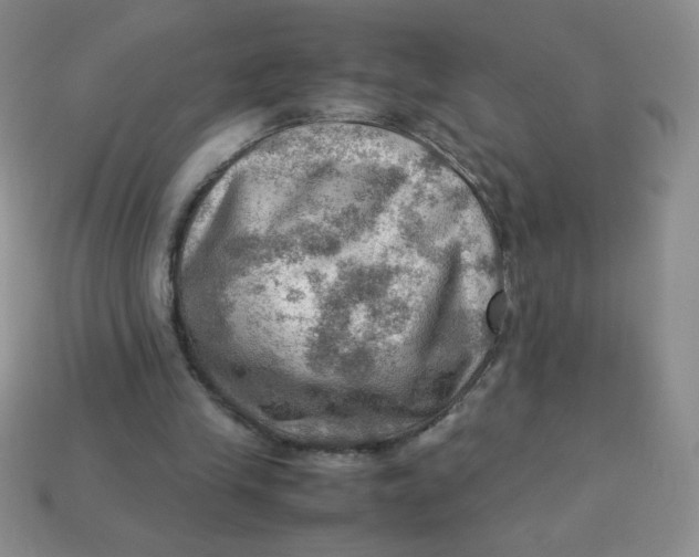 X0000113590245200910091505