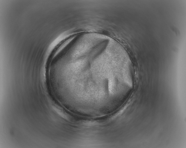 X0000113590246200910091505