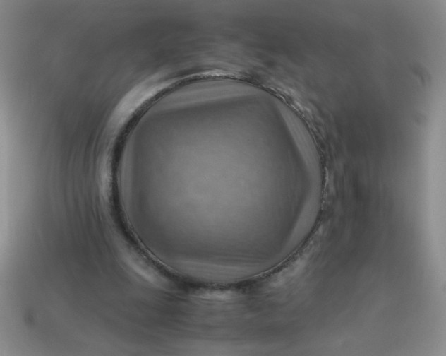 X0000113590247200910091505