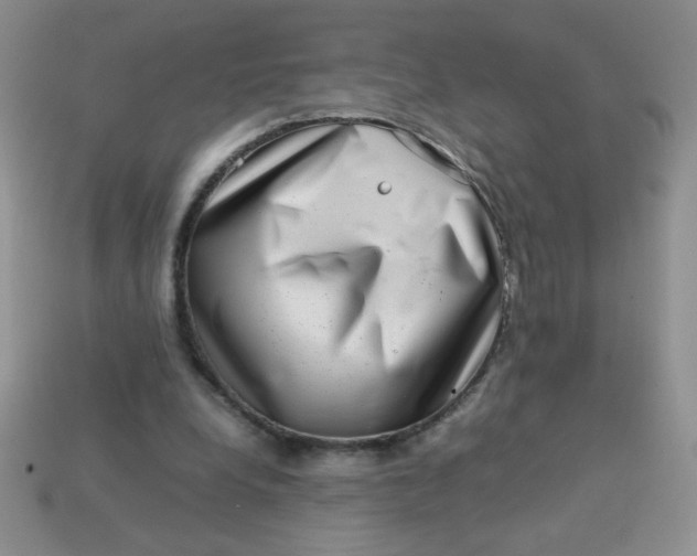 X0000113590248200910091505