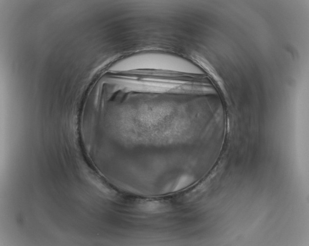 X0000113590249200910091505