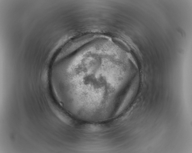 X0000113590250200910091505