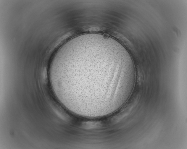 X0000113590251200910091505