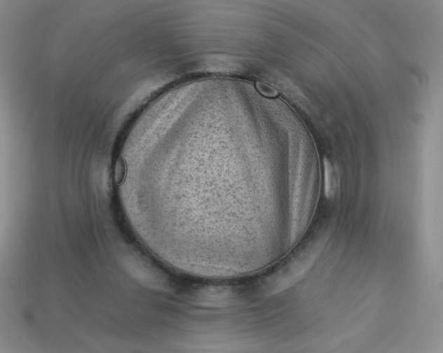 X0000113590252200910091505