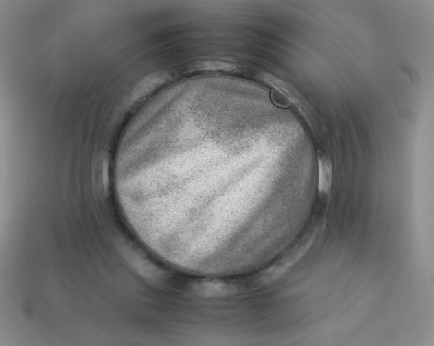 X0000113590253200910091505