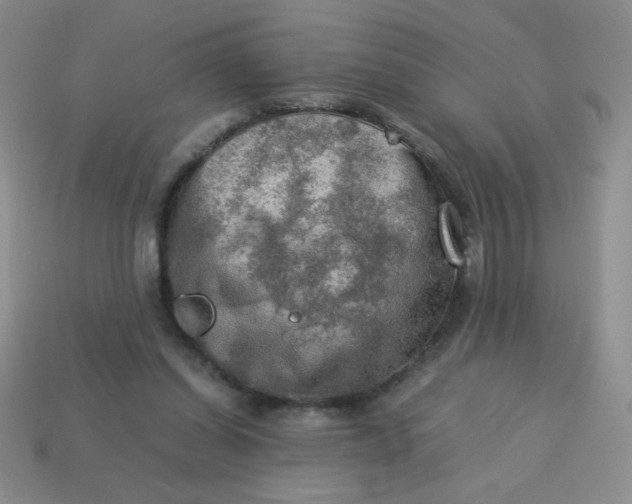 X0000113590254200910091505