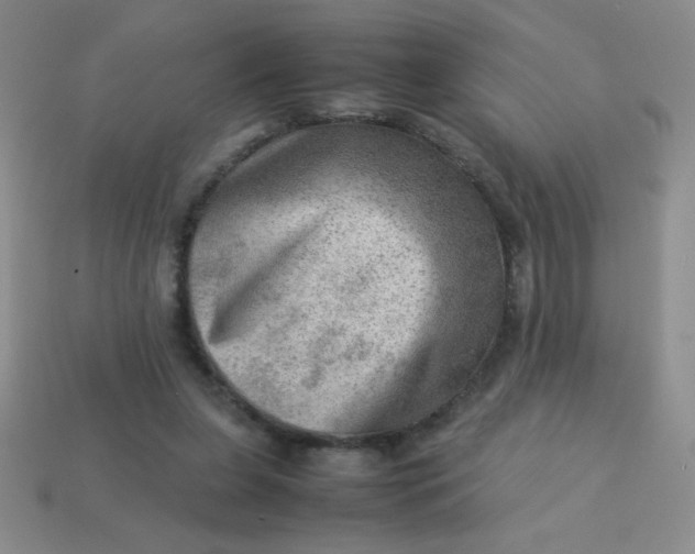 X0000113590255200910091505