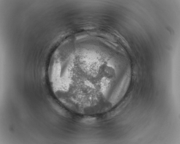 X0000113590257200910091505