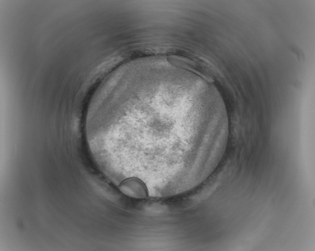 X0000113590258200910091505