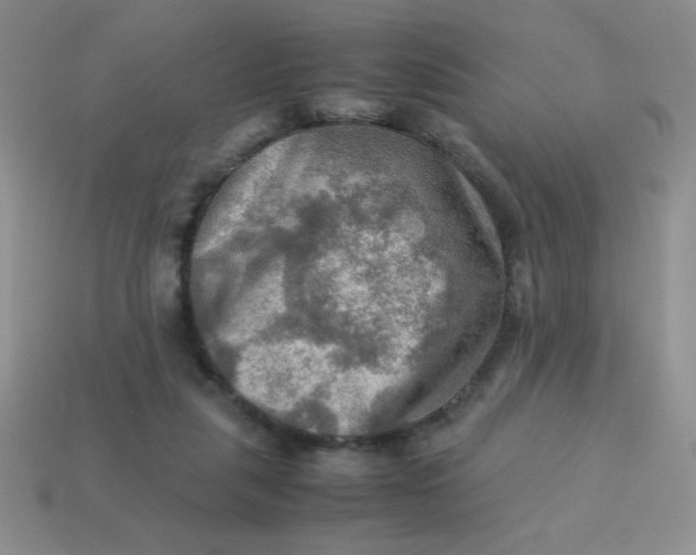 X0000113590259200910091505