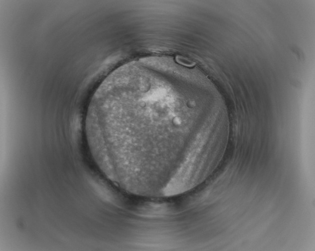 X0000113590260200910091506