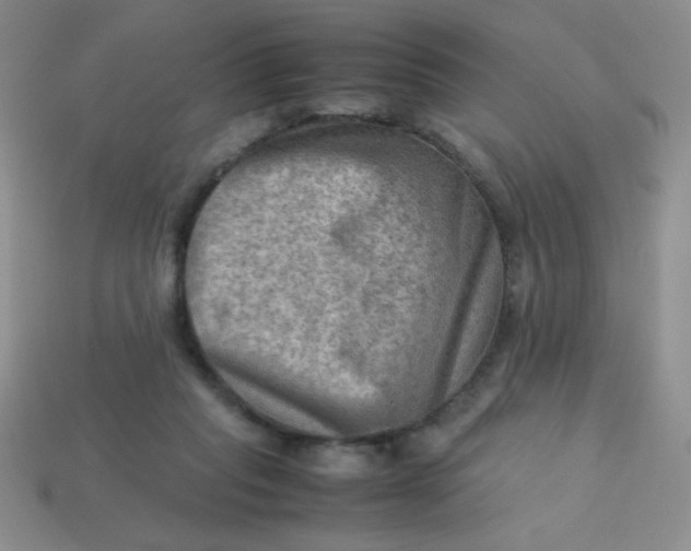 X0000113590261200910091506