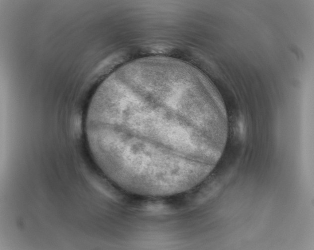 X0000113590262200910091506