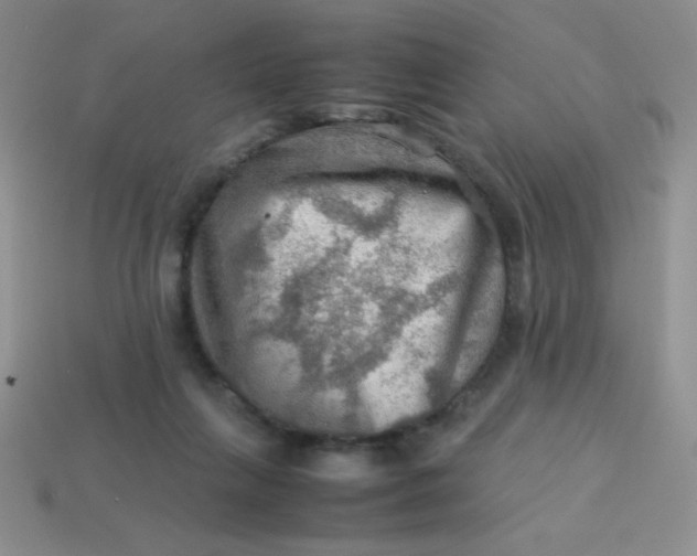 X0000113590263200910091506