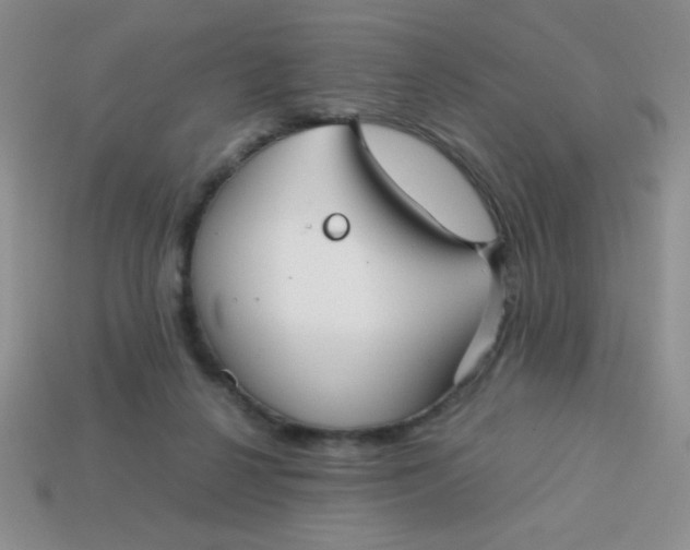 X0000113590264200910091506