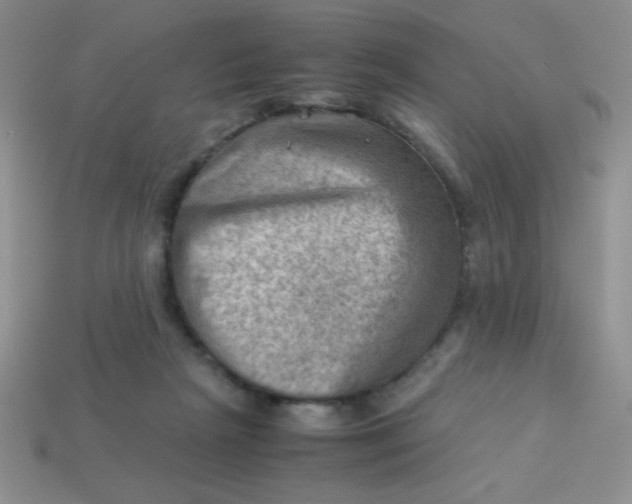 X0000113590265200910091506