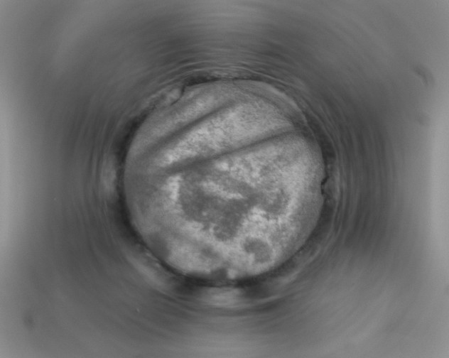 X0000113590266200910091506