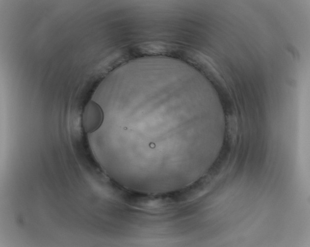 X0000113590267200910091506