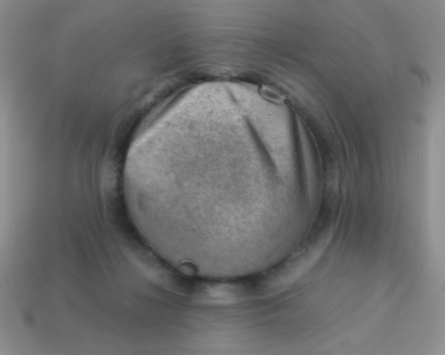 X0000113590268200910091506