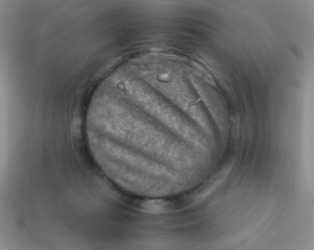 X0000113590269200910091506