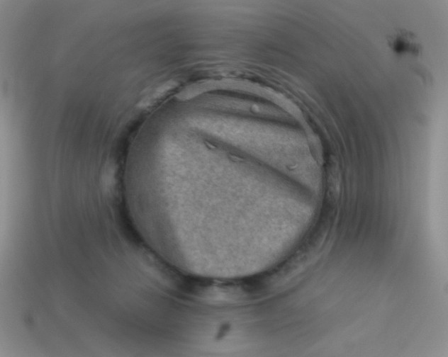 X0000113590270200910091506