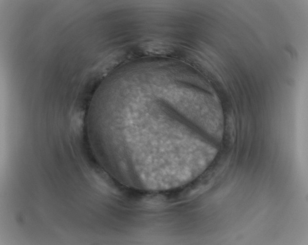 X0000113590271200910091506