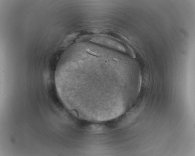 X0000113590272200910091506