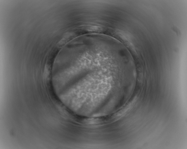 X0000113590273200910091506