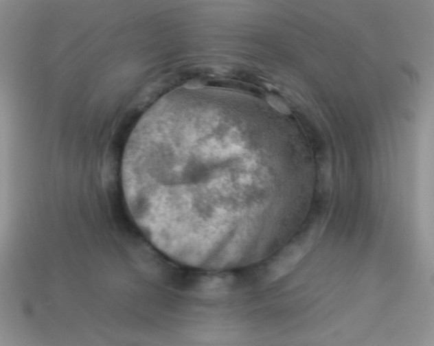 X0000113590274200910091506