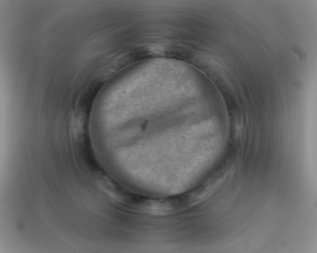 X0000113590275200910091506