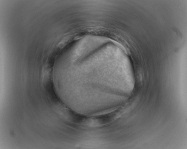 X0000113590276200910091506