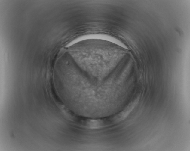 X0000113590277200910091506