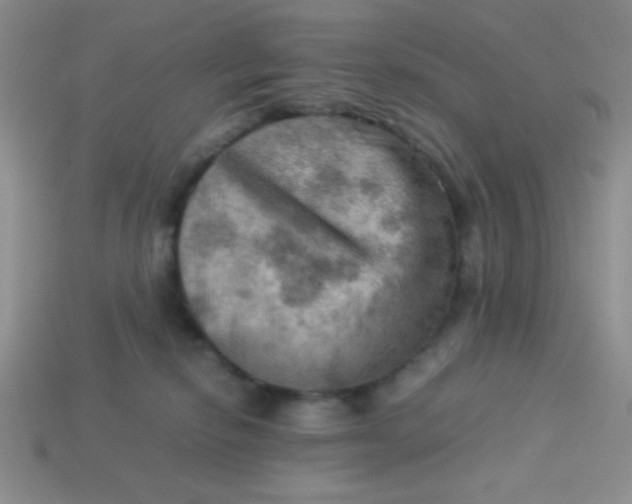 X0000113590278200910091506