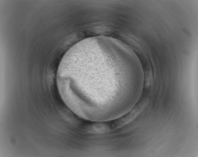 X0000113590279200910091506