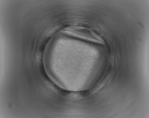 X0000113590280200910091506