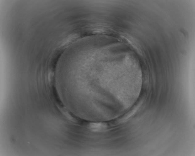 X0000113590281200910091506