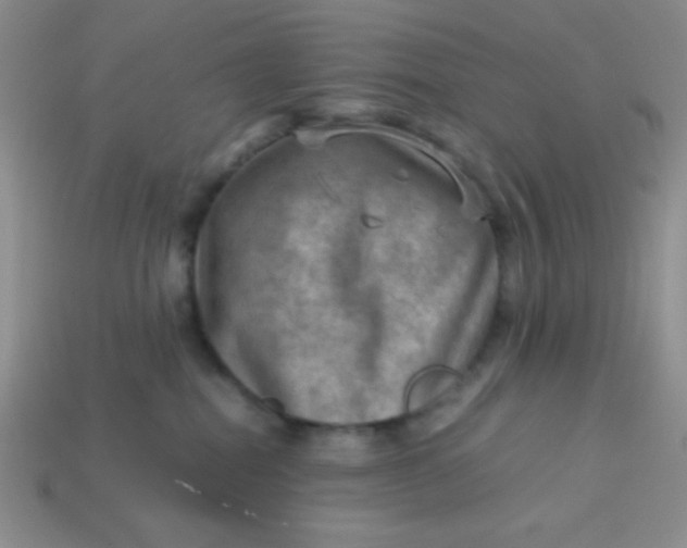 X0000113590282200910091506