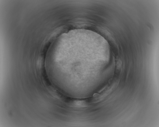 X0000113590283200910091506