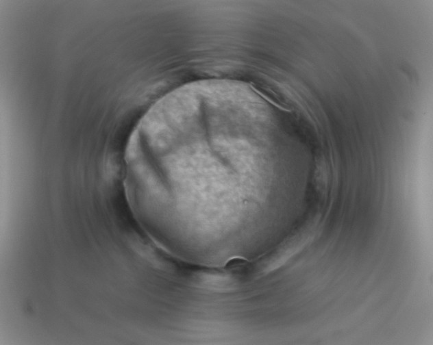 X0000113590284200910091506