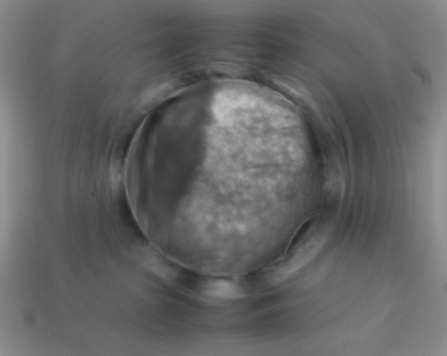 X0000113590285200910091506