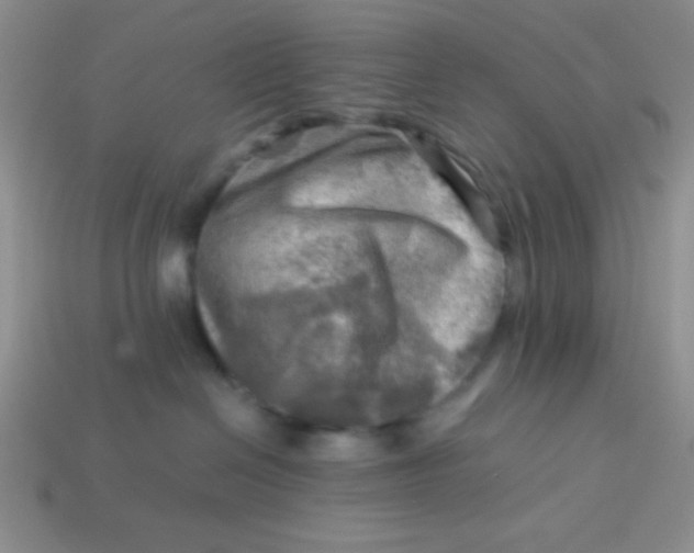 X0000113590286200910091506