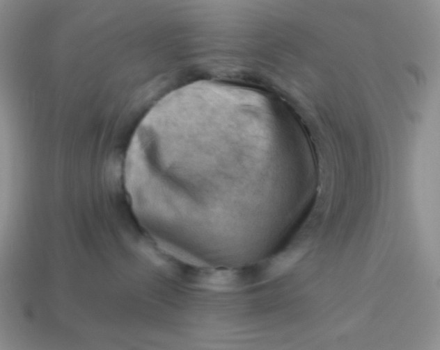 X0000113590288200910091506