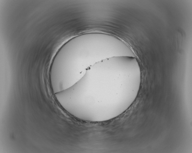 X0000113590289200910091505