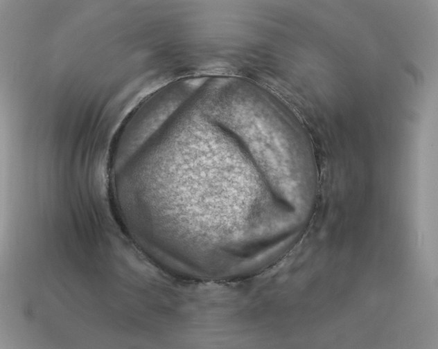 X0000113590290200910091505